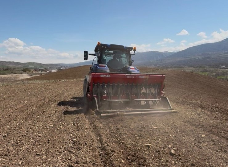 Akıncılar Belediyesi, nohut tohumlarını toprakla buluşturdu