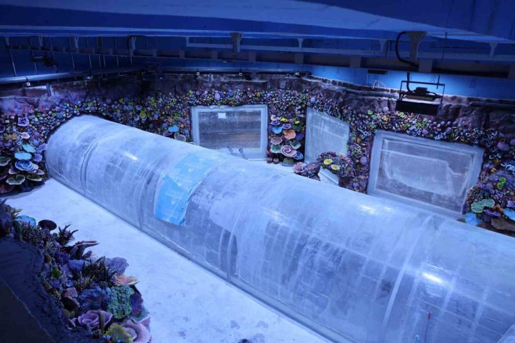 Kocaeli’de su altında dünya turu başlıyor: 30 farklı akvaryumla eşsiz gezi
