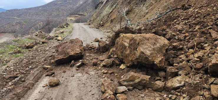 Karakoçan’da toprak kayması