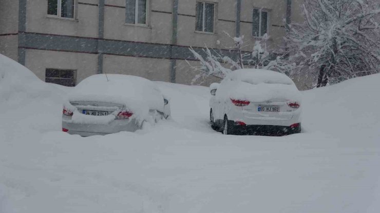 Bitlis’te 111 köy yolu ulaşıma kapandı