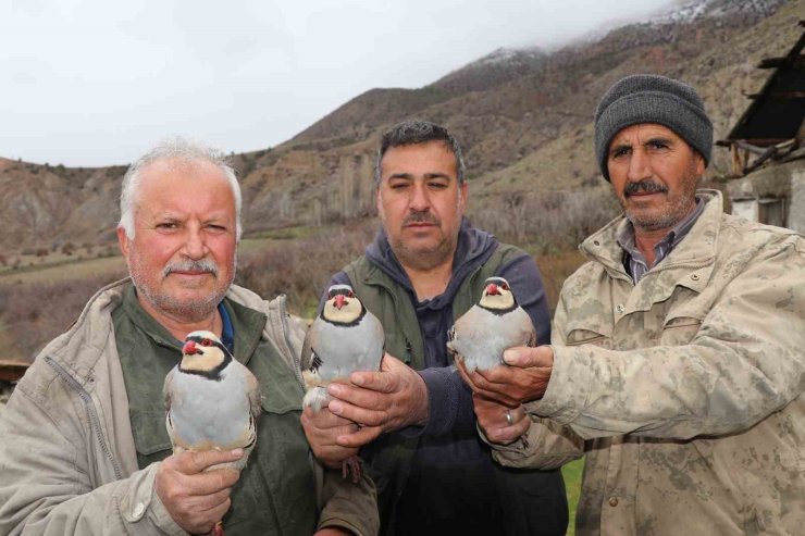 Atadan toruna kalan miras: "Baskın keklik" yöntemiyle dev envanter