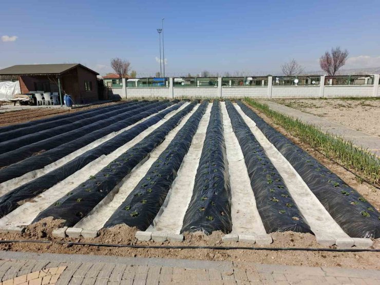 Büyükşehirin Doğal Ürünler Bahçesi ve Pazarı’nda yeni sezon hazırlığı