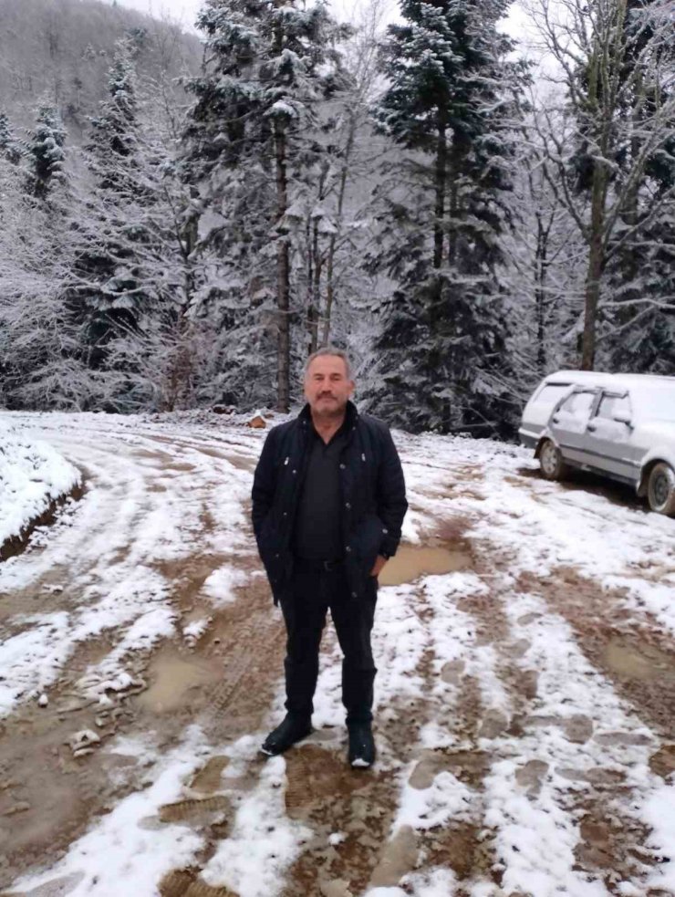 Devrilen ağacın altında kalan işçi hayatını kaybetti