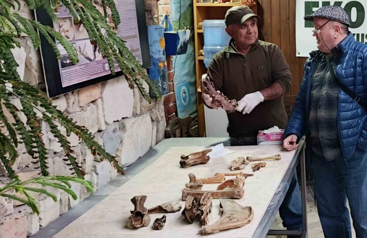 Kuşadası kıyılarında fırtına sonrası ortaya çıkan kemikler incelendi