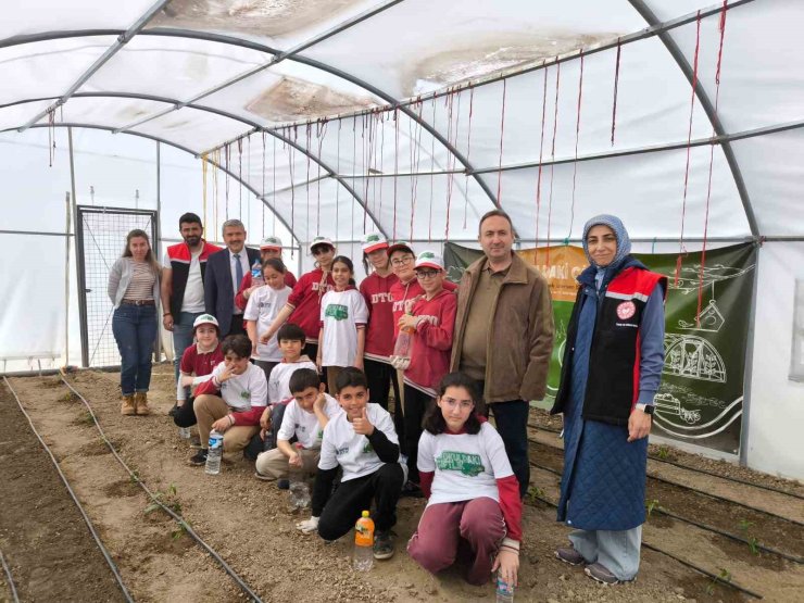 Demirkent TOKİ İlkokulu’nda öğrenciler serada fide dikti