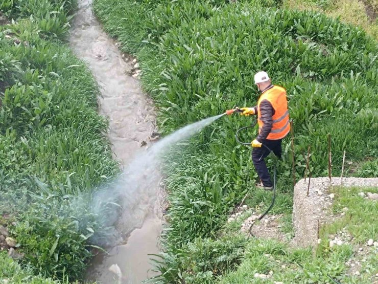 Kahta Belediyesi’nden haşerelere karşı yoğun mücadele