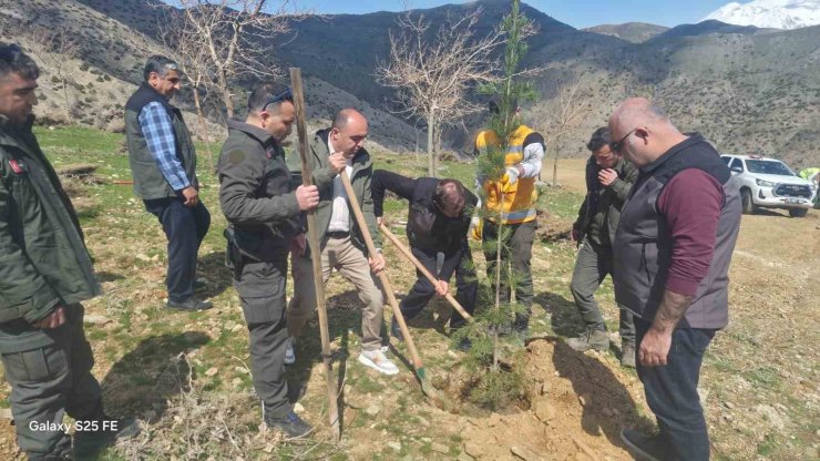 Sason’da şehitler anısına fidanlar toprakla buluşturuldu