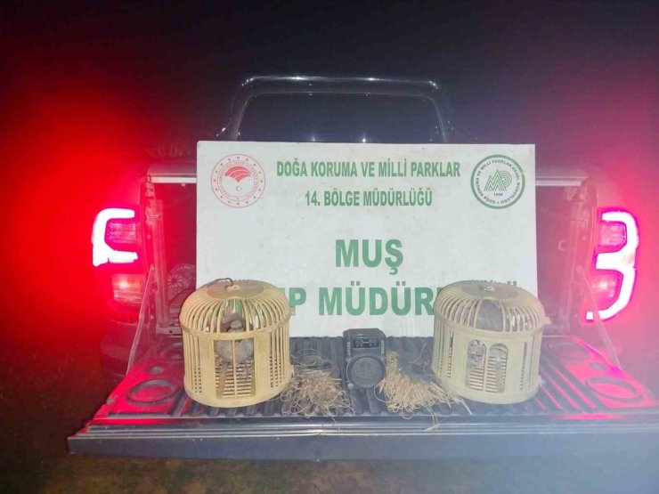 Muş’ta kaçak keklik avına suçüstü: 65 bin TL ceza kesildi