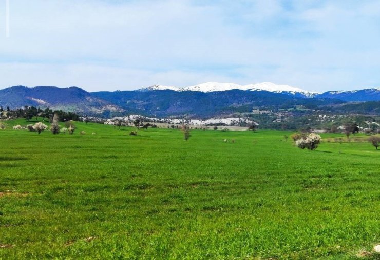 Gediz’de bahar aylarının getirdiği güzellik büyülüyor