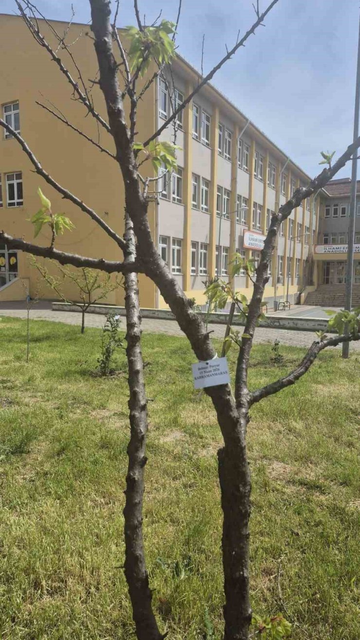 Edirne İlhami Ertem Anadolu Lisesi öğrencilerinden anlamlı etkinlik