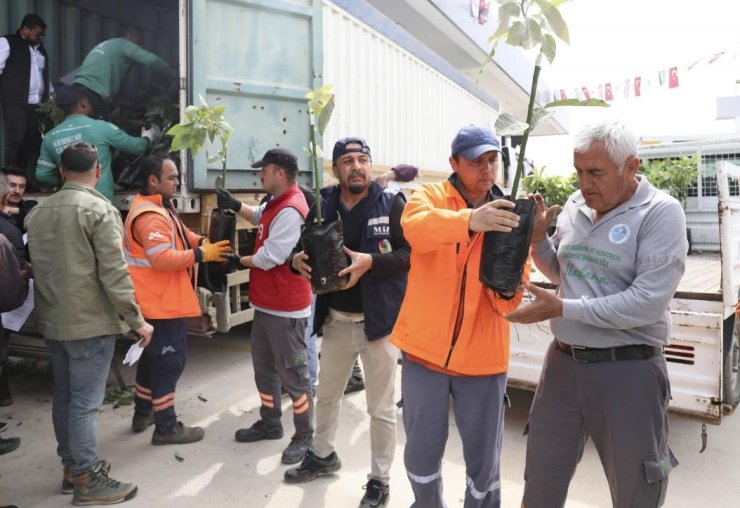 Mersin’de üreticiye avokado fidanı ve destek dağıtımı