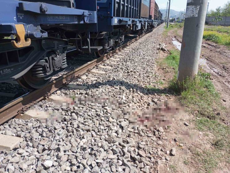 Osmaniye’de yük treninin çarptığı kişi yaralandı