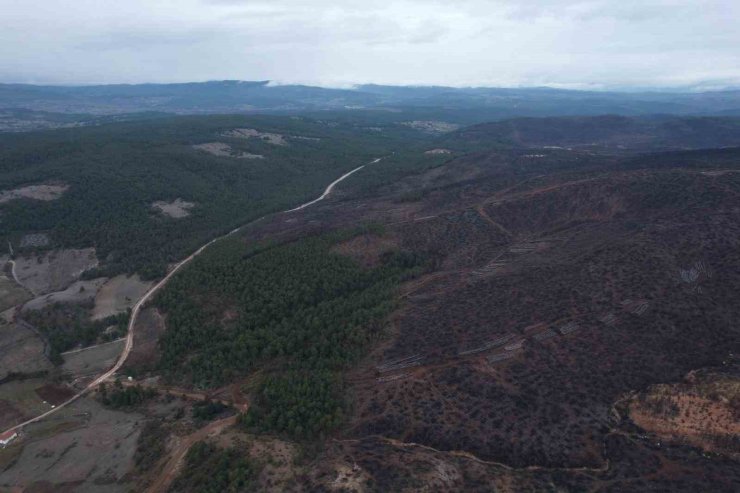 Bursa’da tarihin en büyük orman yangınında yaralar böyle sarıldı