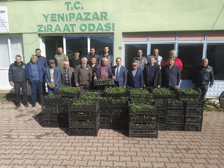 Bilecik’te 8 bin çilek fidesi üreticiyle buluştu