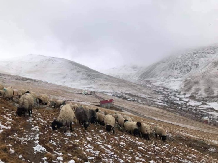 300 yıllık kullanıma müdahale tepki çekti