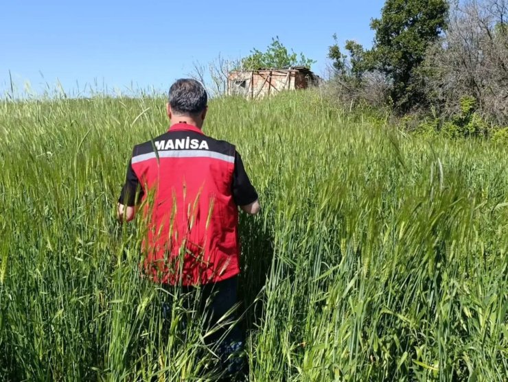 Sarıgöl’de huhubatta verim için ekipler sahada