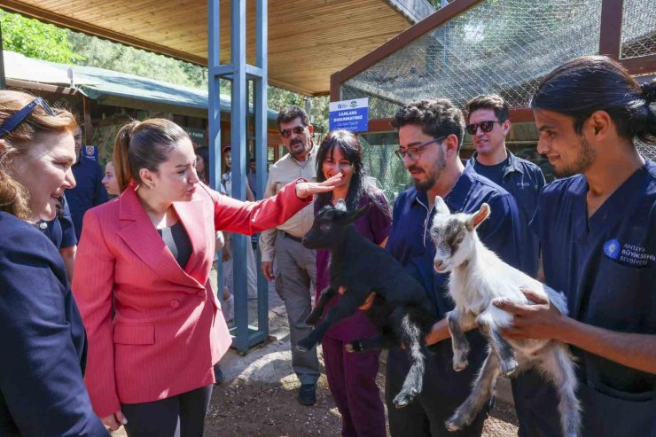 Başkan Vekili Büşra Özdemir: "Veteriner hekimlerin üstlendikleri sorumluluk çok kıymetli"