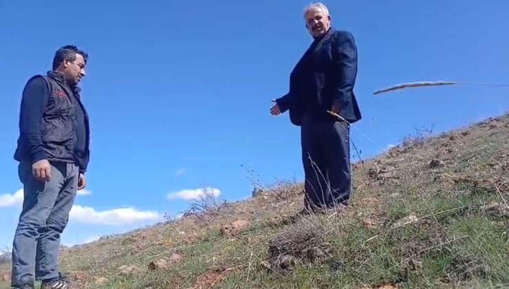 Ters laleyi koparmanın cezası 700 bin TL