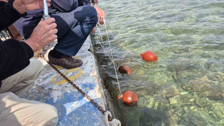 Akdeniz’den Ege’ye Doğa ve Dostluk Yürüyüşü Datça’da başladı