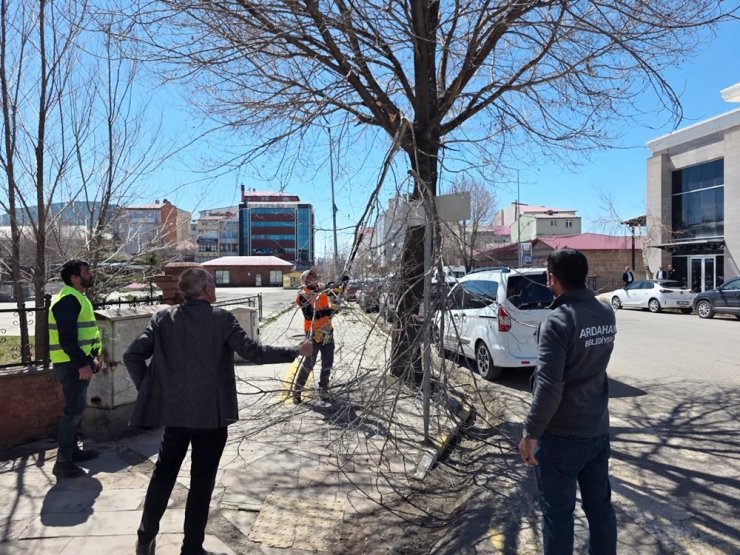 Belediye ekiplerinden ağaç budama çalışması