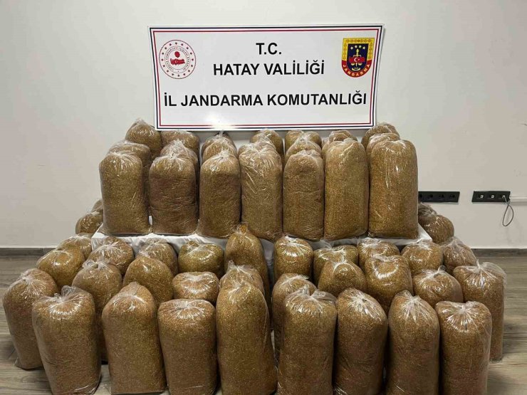 Hatay’da Jandarma’dan geniş çaplı asayiş operasyonu