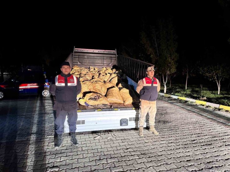 Van’da kaçak avlanan 800 kilo balık ele geçirildi