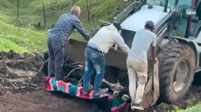 Siirt’te kaybolan büyükbaş hayvan çamura saplanmış halde bulundu