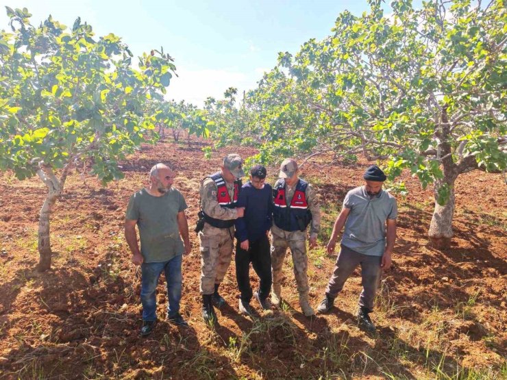 Şanlıurfa’da kaybolan çocuk fıstık bahçesinde bulundu