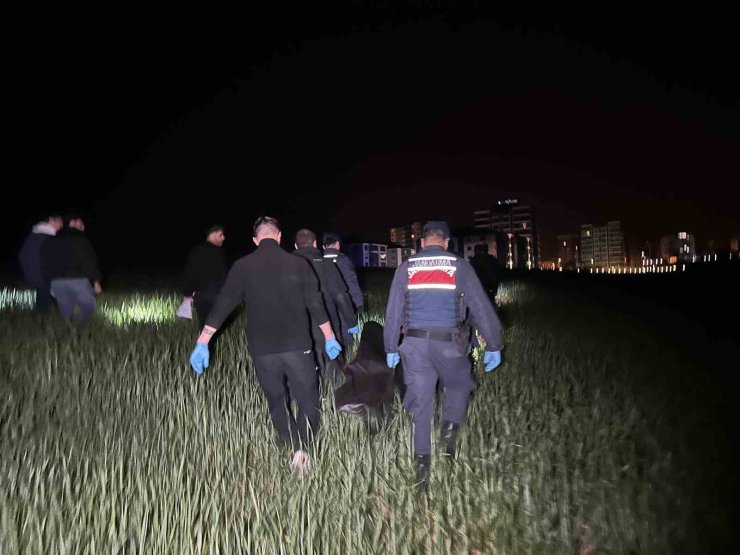Uşak’ta tarım arazisinde erkek cesedi bulundu
