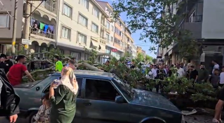 Devrilen ağacın altında kalan motosiklet sürücüsünün durumu ağır