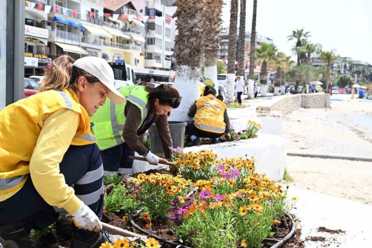 Aydın Büyükşehir’den, Kuşadası’nda bakım ve temizlik çalışması