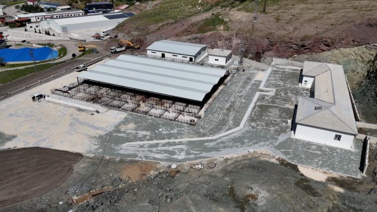 Elazığ’da kurban satış ve kesim alanlarında çalışmalar başladı