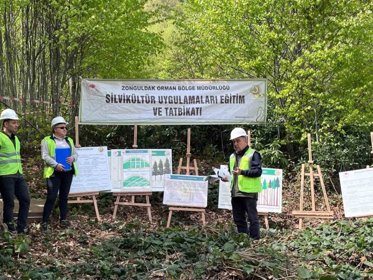Silvikültür eğitim tatbikatı Yenice’de tamamlandı