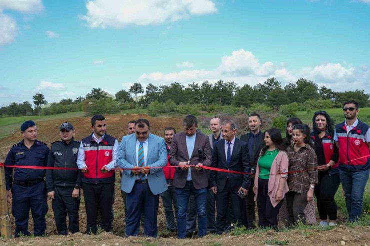 Tescilli Pazarlar Kirazı uygulama alanı hizmete açıldı