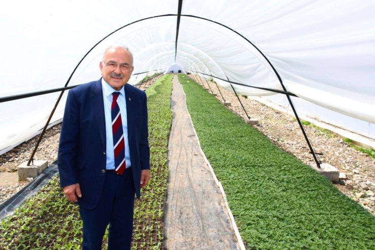 Başkan Güler: "Kendi ürettiğimiz çiçekler ile şehrimizi güzelleştiriyoruz"