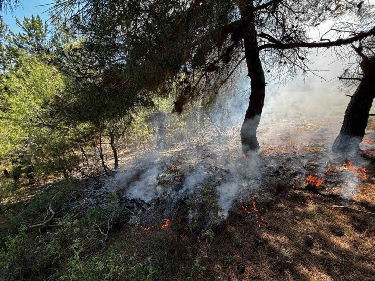 Bilecik’te ormanlık alanda yangın çıktı