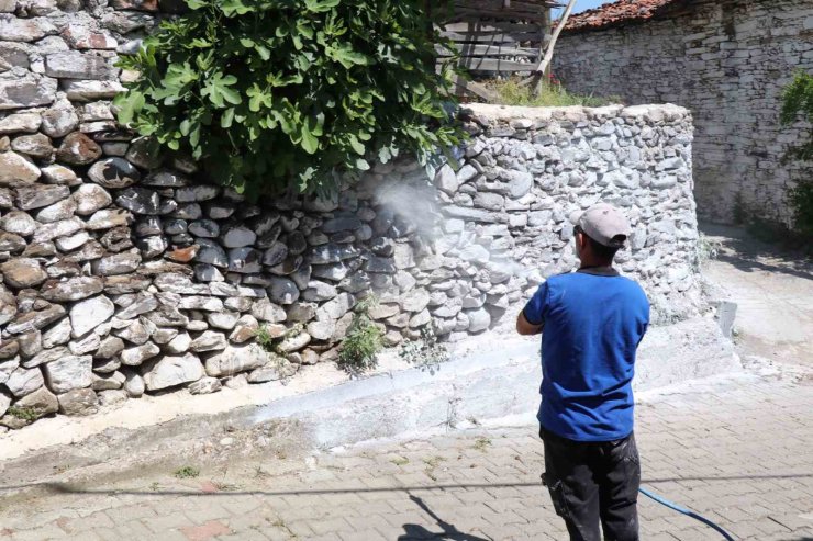 Bozdoğan’da haşereye karşı kireçleme çalışmaları sürüyor