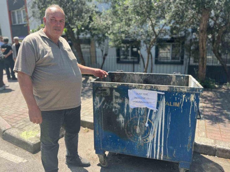 Poşetler içinde bulunan 33 ölü kedi ile ilgili soruşturma başlatıldı