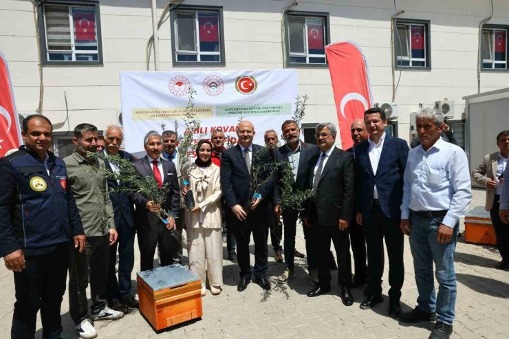 Adıyaman’da çiftçilere zeytin fidanı ve arılı kovan desteği