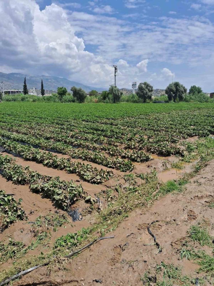 Köşk’te sel sonrası arazilerde hasar tespiti başlatıldı