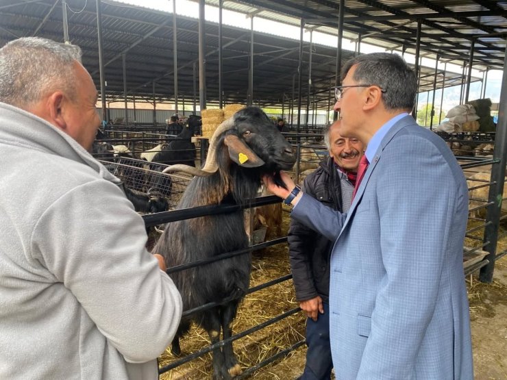 Başkan Eyüp Kahveci’den Kurban Pazarı ziyareti
