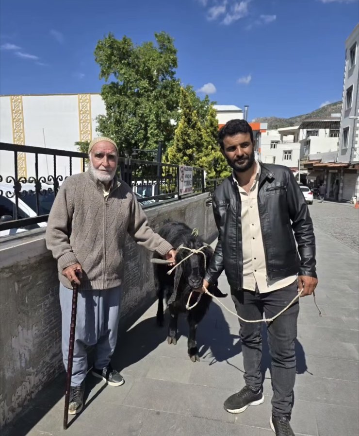 70 kiloluk dev keçi 36 bin liraya satıldı