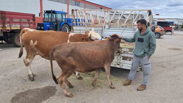 Erzurum’da kurban pazarı hareketlendi
