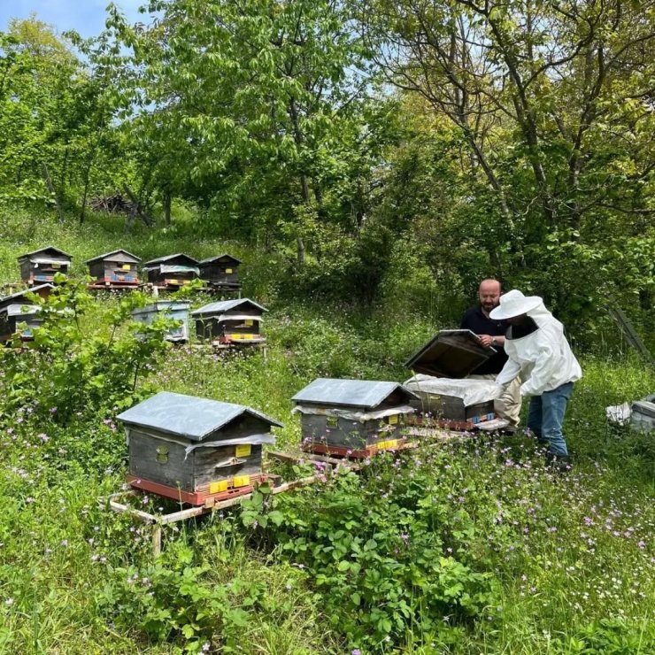 Düzce’de yıllık 502 ton üretiliyor