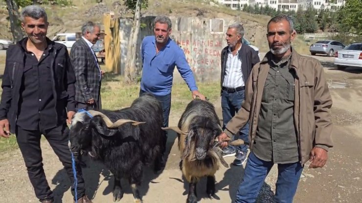 Bayram öncesi hayvan pazarına ilgi arttı