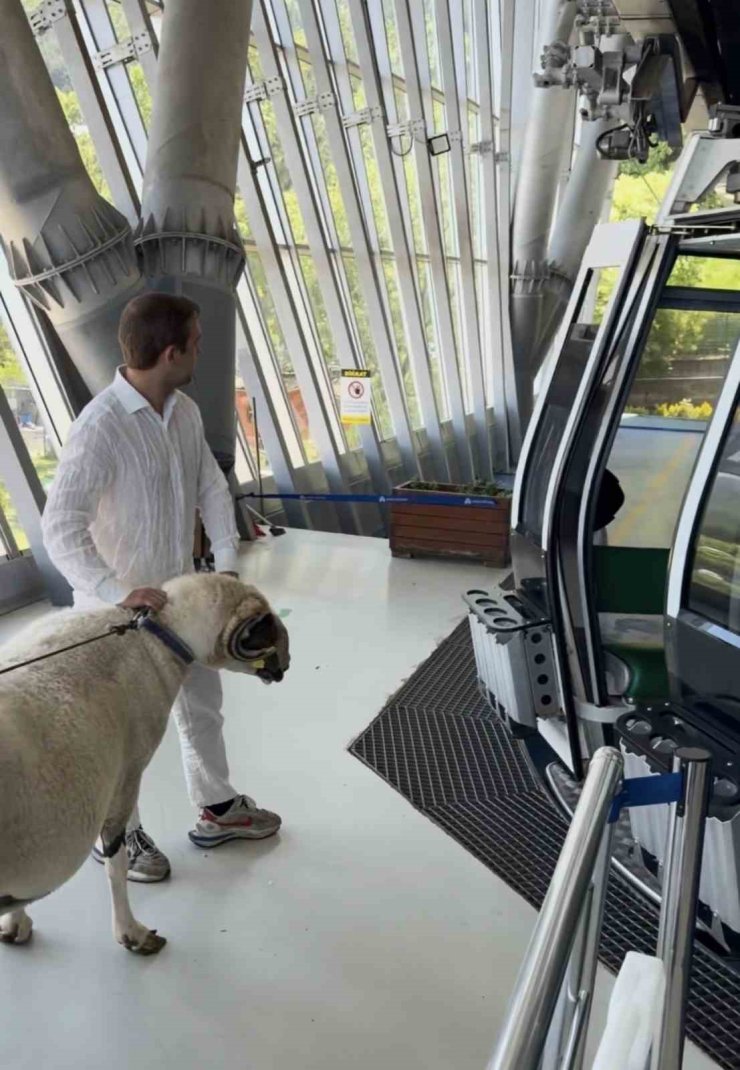 Bayramda keseceği koçla teleferik keyfi yaptı