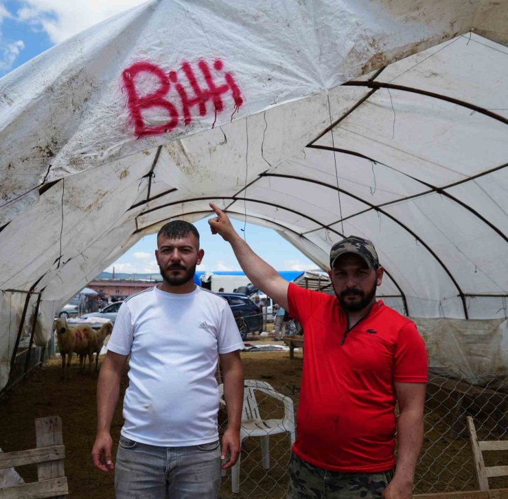 Kurbanlıklar alıcı buldu, yetiştirici bayrama mutlu girdi: "Dedikleri fiyata verdik, milleti kurbansız göndermedik"