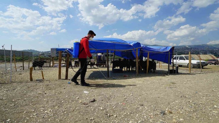 Kahramanmaraş’ta bayram temizliği ve ilaçlama çalışmaları sürüyor
