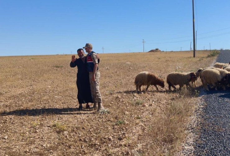 Kaybolan küçükbaş hayvanları jandarma buldu