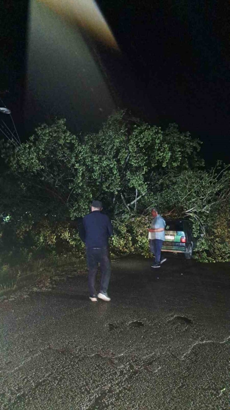 Bartın’da şiddetli fırtına: ağaçlar Otomobillerin üzerine devrildi